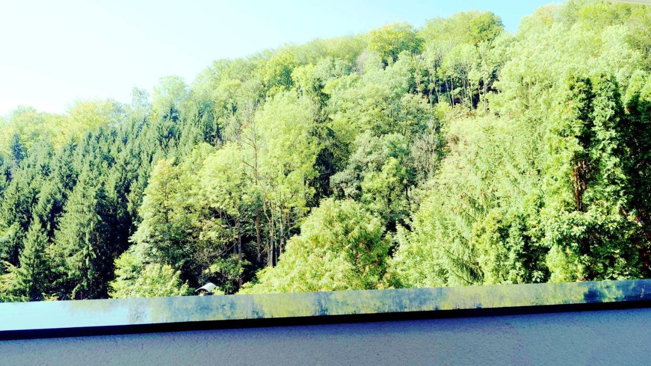 Flamind Mit Garten Und Grill Altenberg bei Linz